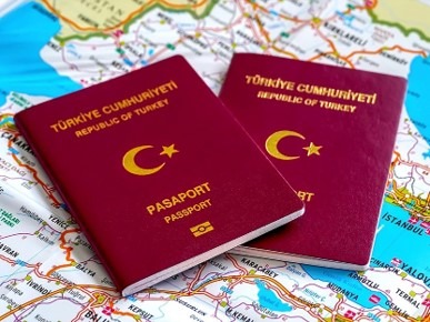 Vize Departmanı
